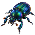 Dung beetle